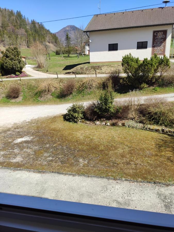 Gaestehaus Duernberger - Klein, Aber Fein - Gemuetliche Zimmer In Ruhiger, Idyllischer Lage Molln المظهر الخارجي الصورة